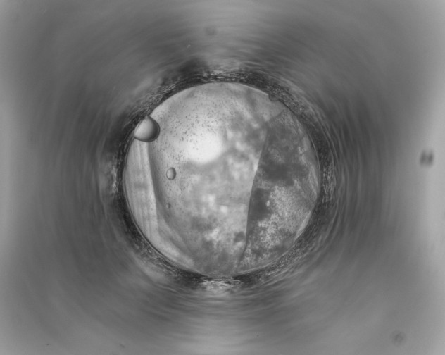 X0000090780703200708101833
