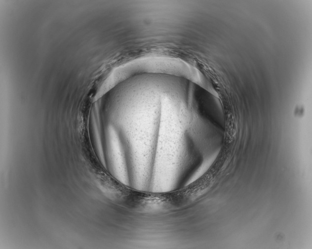 X0000090780704200708101833