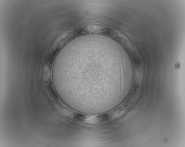 X0000090780705200708101833