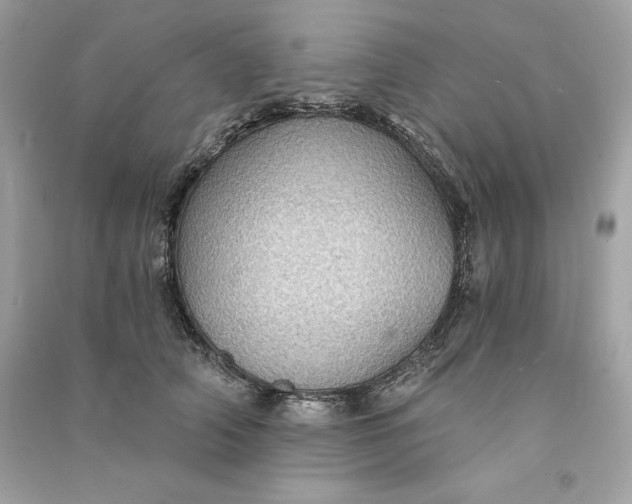 X0000090780706200708101833