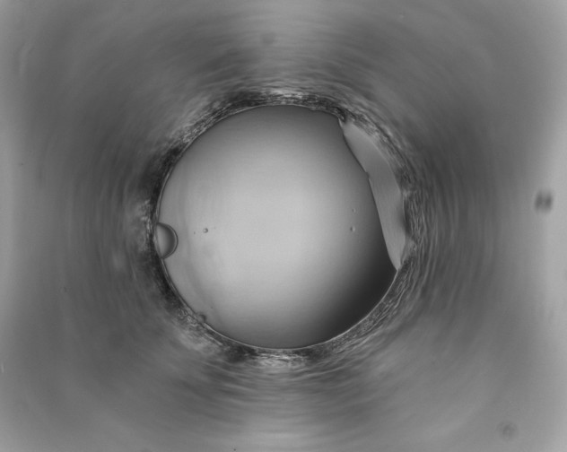 X0000090780707200708101833