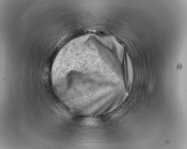 X0000090780708200708101833
