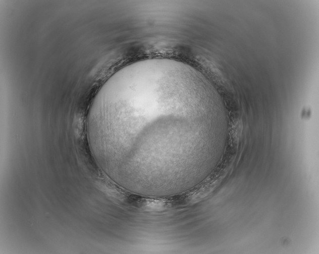 X0000090780709200708101833