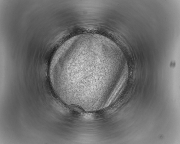 X0000090780710200708101833