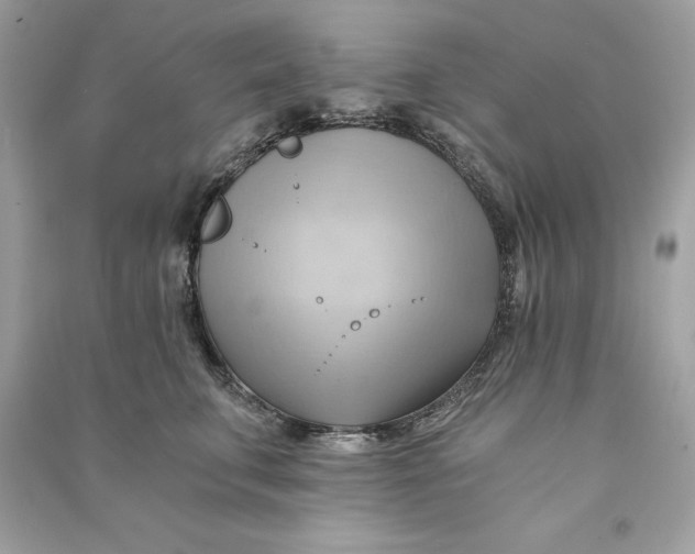 X0000090780711200708101833