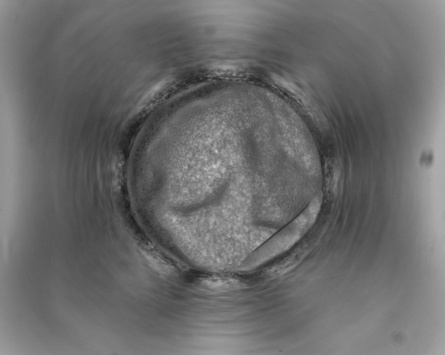X0000090780712200708101833