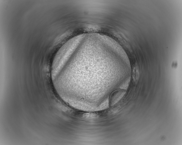 X0000090780714200708101833