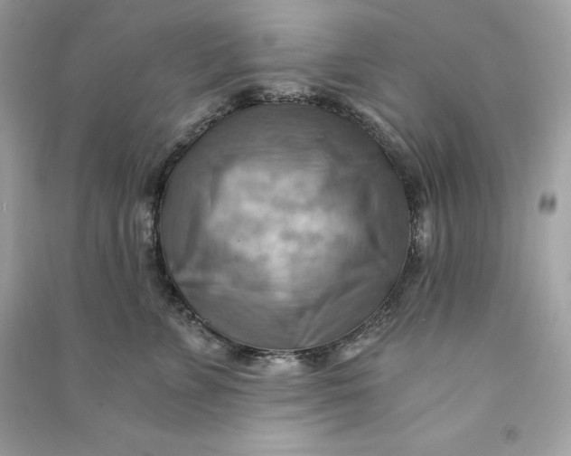 X0000090780715200708101833