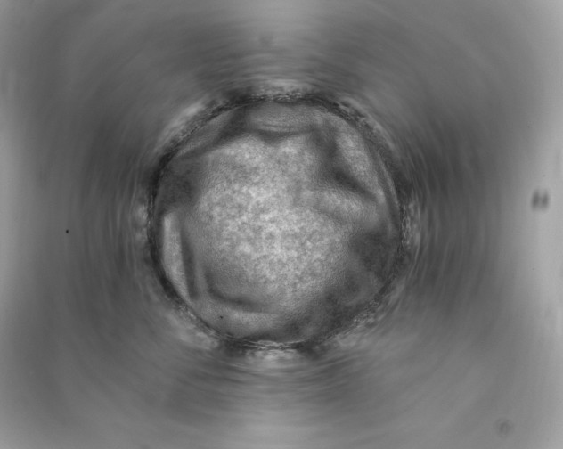 X0000090780716200708101833