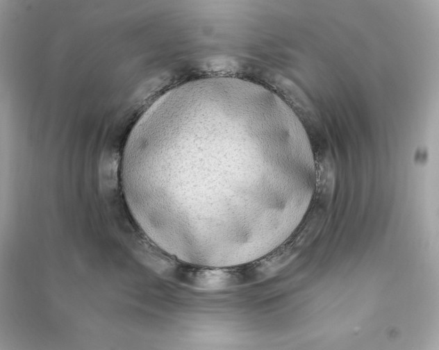 X0000090780717200708101833