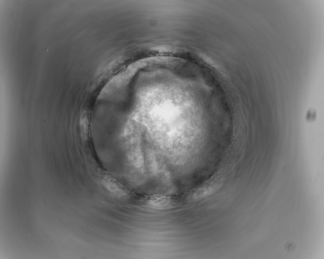 X0000090780720200708101832