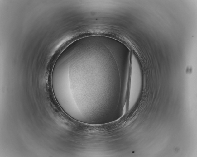 X0000090780723200708101832