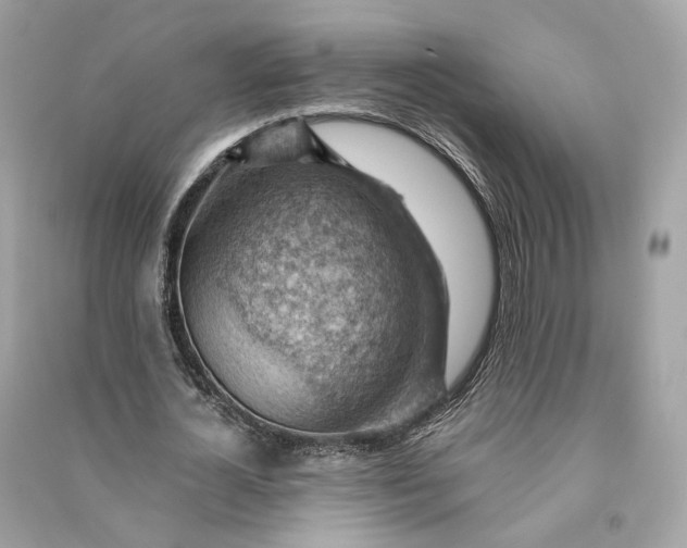 X0000090780724200708101832