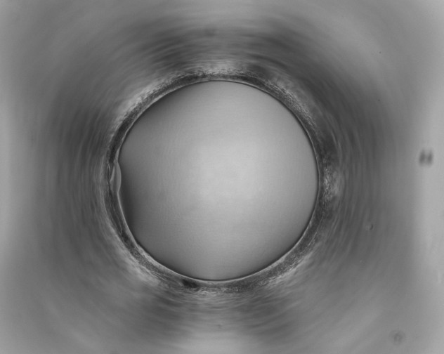 X0000090780725200708101832