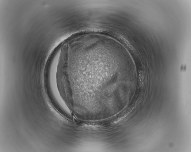 X0000090780726200708101832