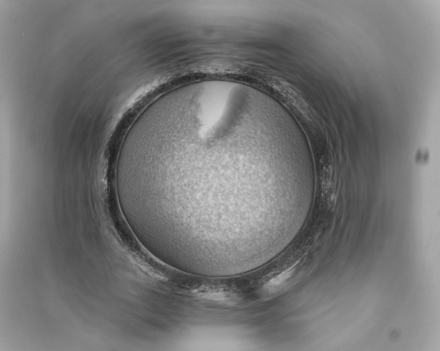 X0000090780727200708101832
