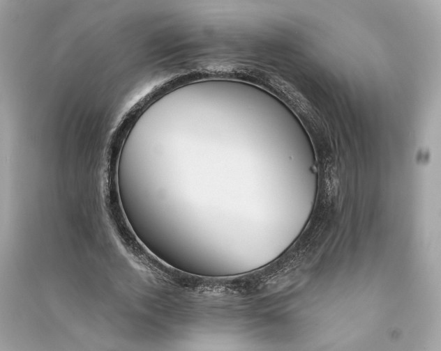 X0000090780728200708101832