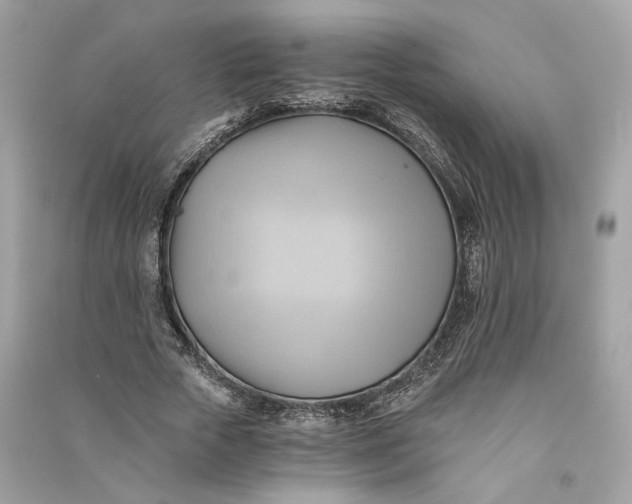 X0000090780729200708101832
