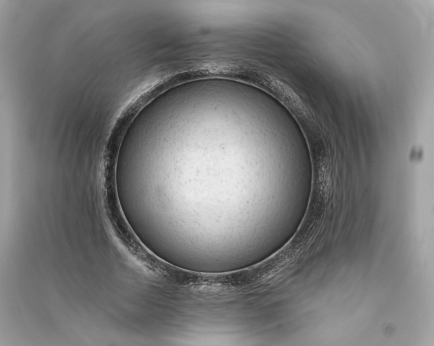 X0000090780730200708101832