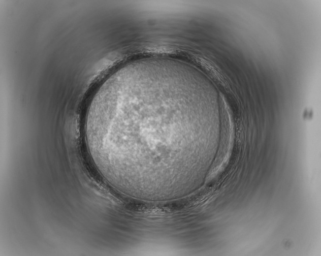X0000090780731200708101832