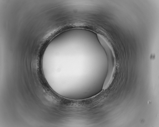 X0000090780732200708101832