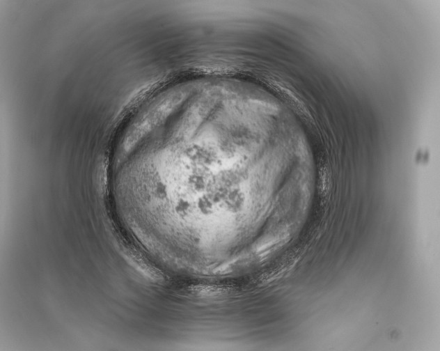X0000090780733200708101832