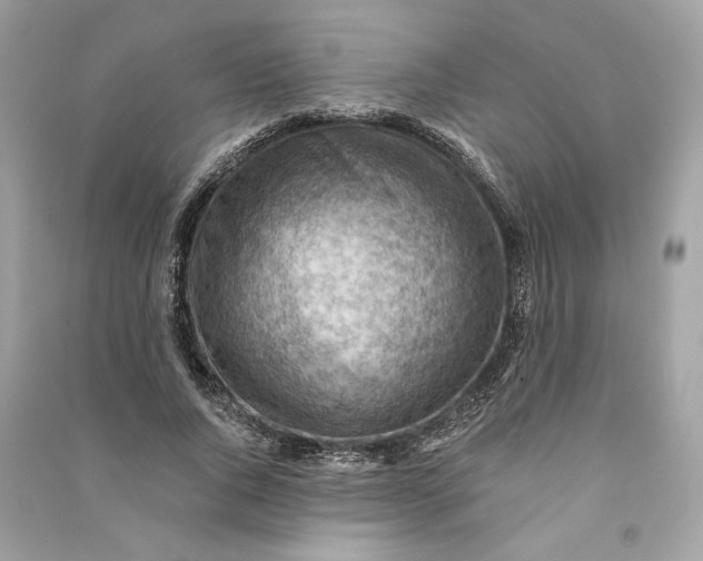 X0000090780736200708101832