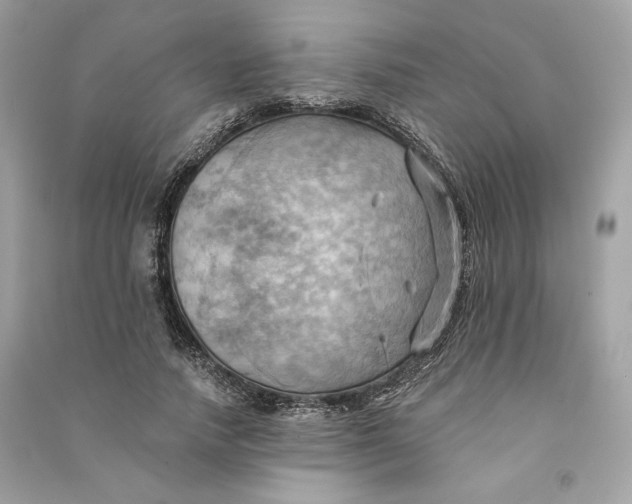 X0000090780738200708101832