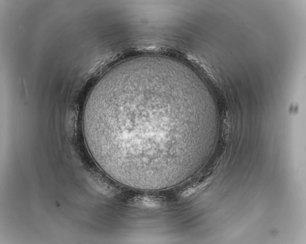 X0000090780739200708101832