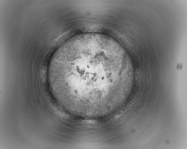 X0000090780741200708101832