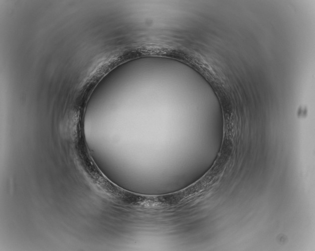 X0000090780742200708101832