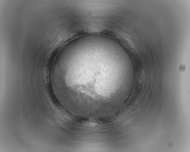 X0000090780743200708101832