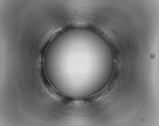X0000090780744200708101832