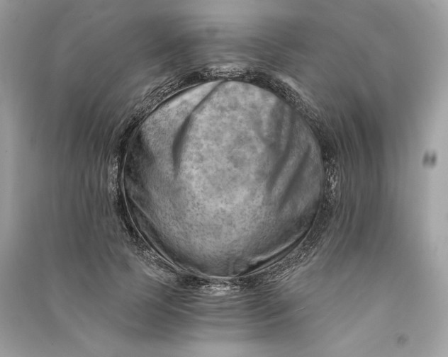 X0000090780745200708101832