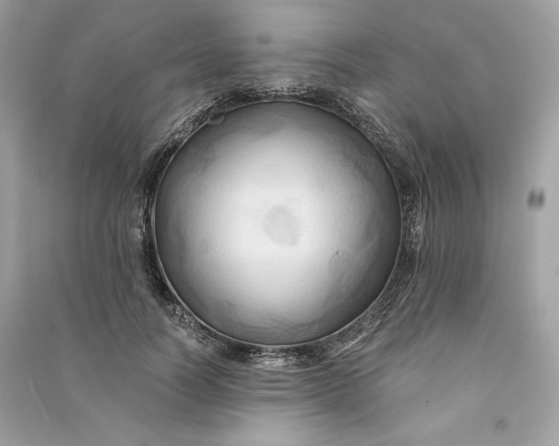 X0000090780746200708101832