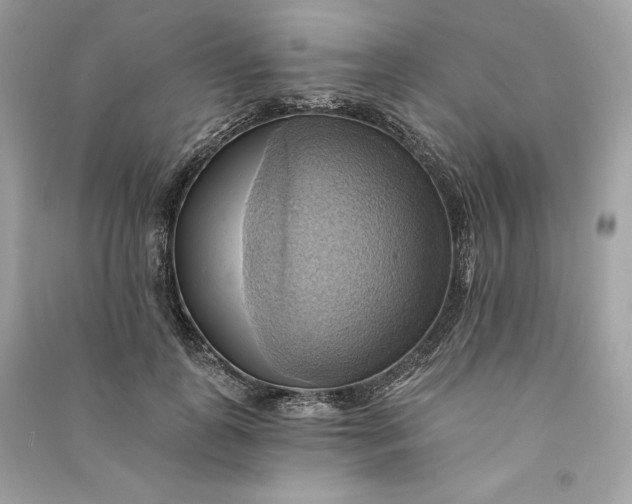 X0000090780747200708101832
