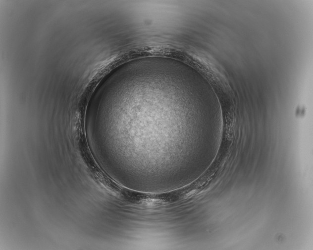 X0000090780748200708101832