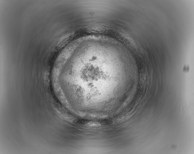 X0000090780749200708101832