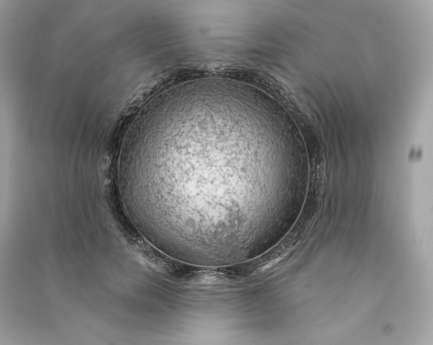 X0000090780750200708101832