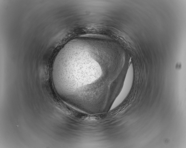 X0000090780751200708101832