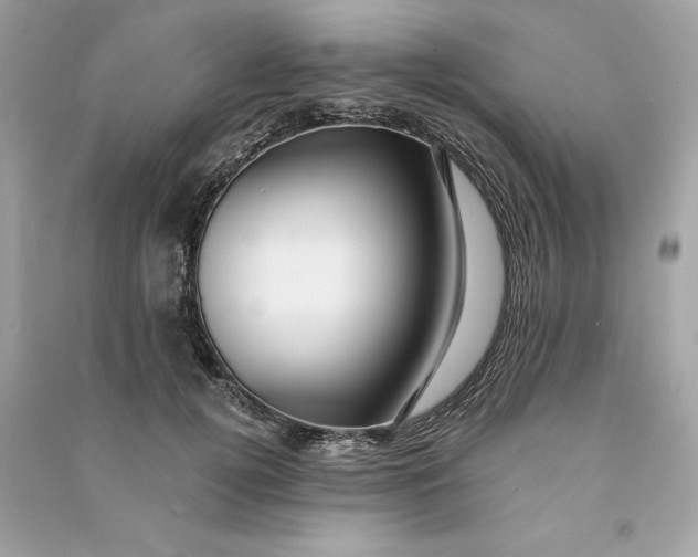 X0000090780752200708101832