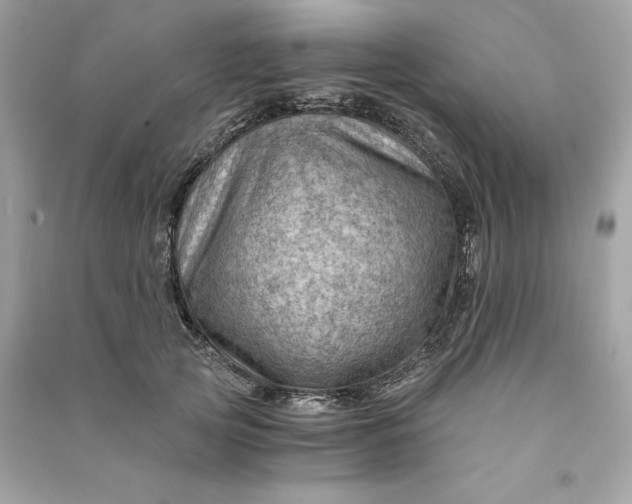 X0000090780753200708101832