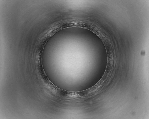 X0000090780754200708101832