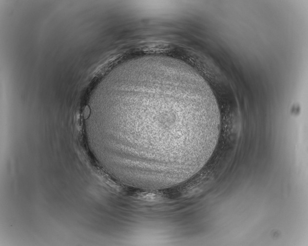 X0000090780755200708101832