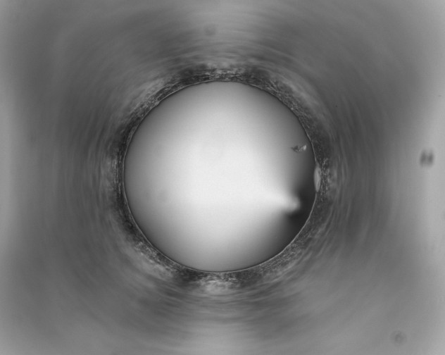 X0000090780756200708101832