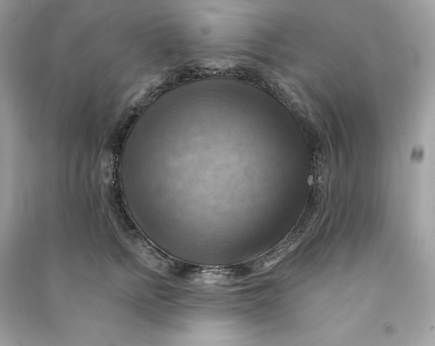 X0000090780758200708101832
