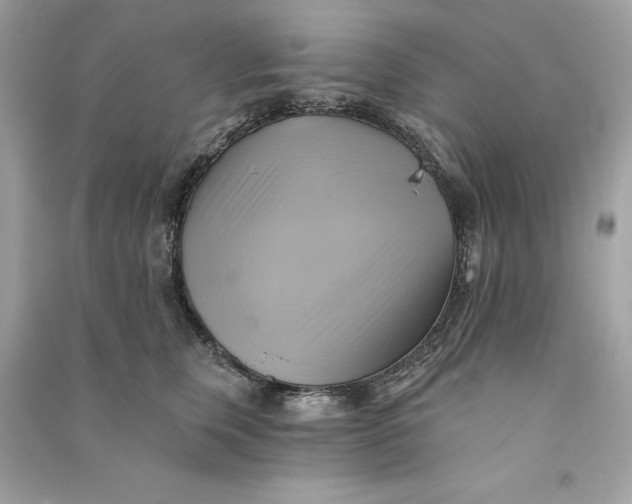 X0000090780759200708101832