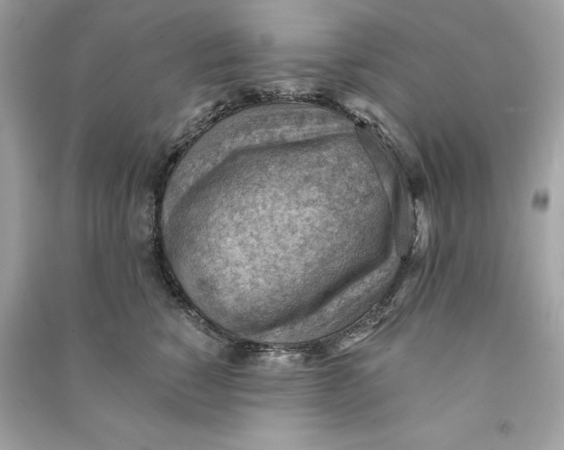 X0000090780760200708101832