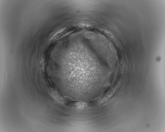 X0000090780762200708101832