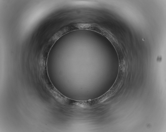 X0000090780763200708101832